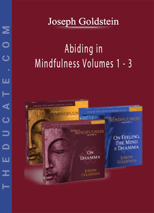 Joseph Goldstein - Abiding in Mindfulness Volumes 1 - 3