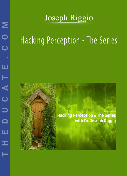 Joseph Riggio - Hacking Perception - The Series