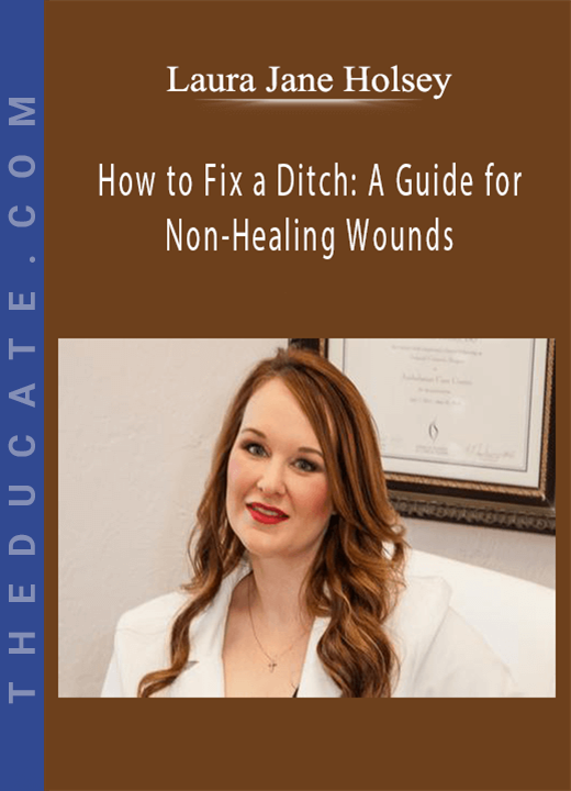 Laura Jane Holsey - How to Fix a Ditch: A Guide for Non-Healing Wounds