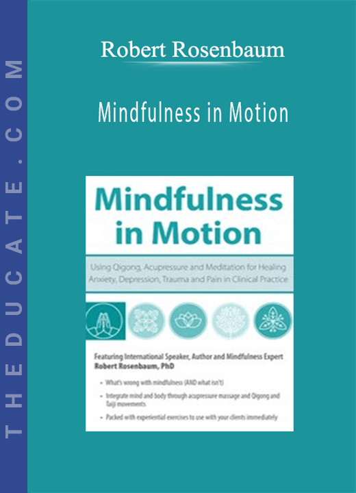 Mindfulness in Motion: Using Qigong, Acupressure and Meditation for Healing Anxiety, Depression, Trauma and Pain in Clinical Practice - Robert Rosenbaum