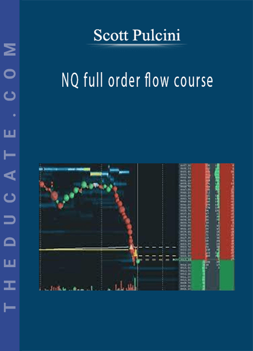 Scott Pulcini - NQ full order flow course