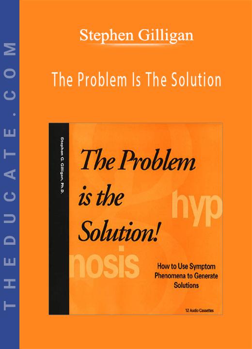 Stephen Gilligan - The Problem Is The Solution