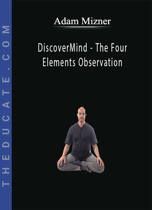 Adam Mizner - DiscoverMind - The Four Elements Observation