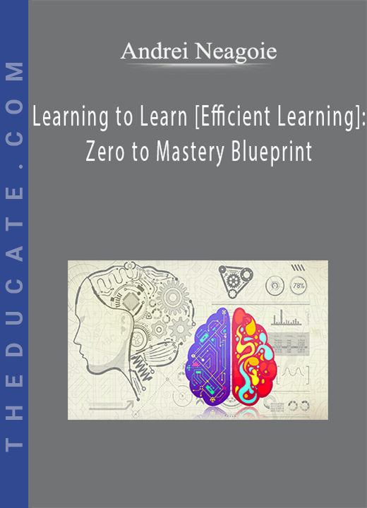Andrei Neagoie - Learning to Learn [Efficient Learning]: Zero to Mastery Blueprint