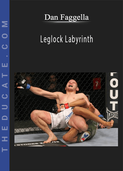 Dan Faggella - Leglock Labyrinth