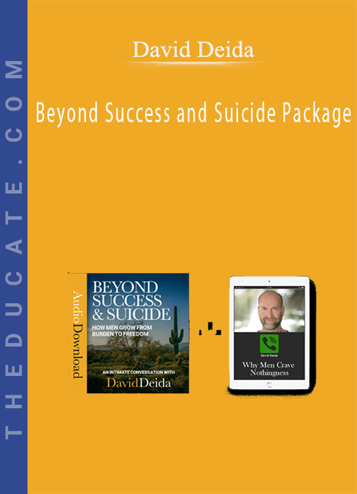 David Deida - Beyond Success and Suicide Package